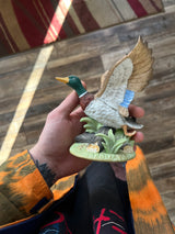 Duck Lot